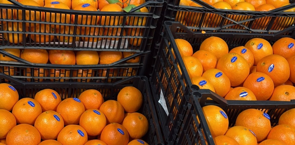 Celebra el Día de la Naranja con Frutas La Juaida